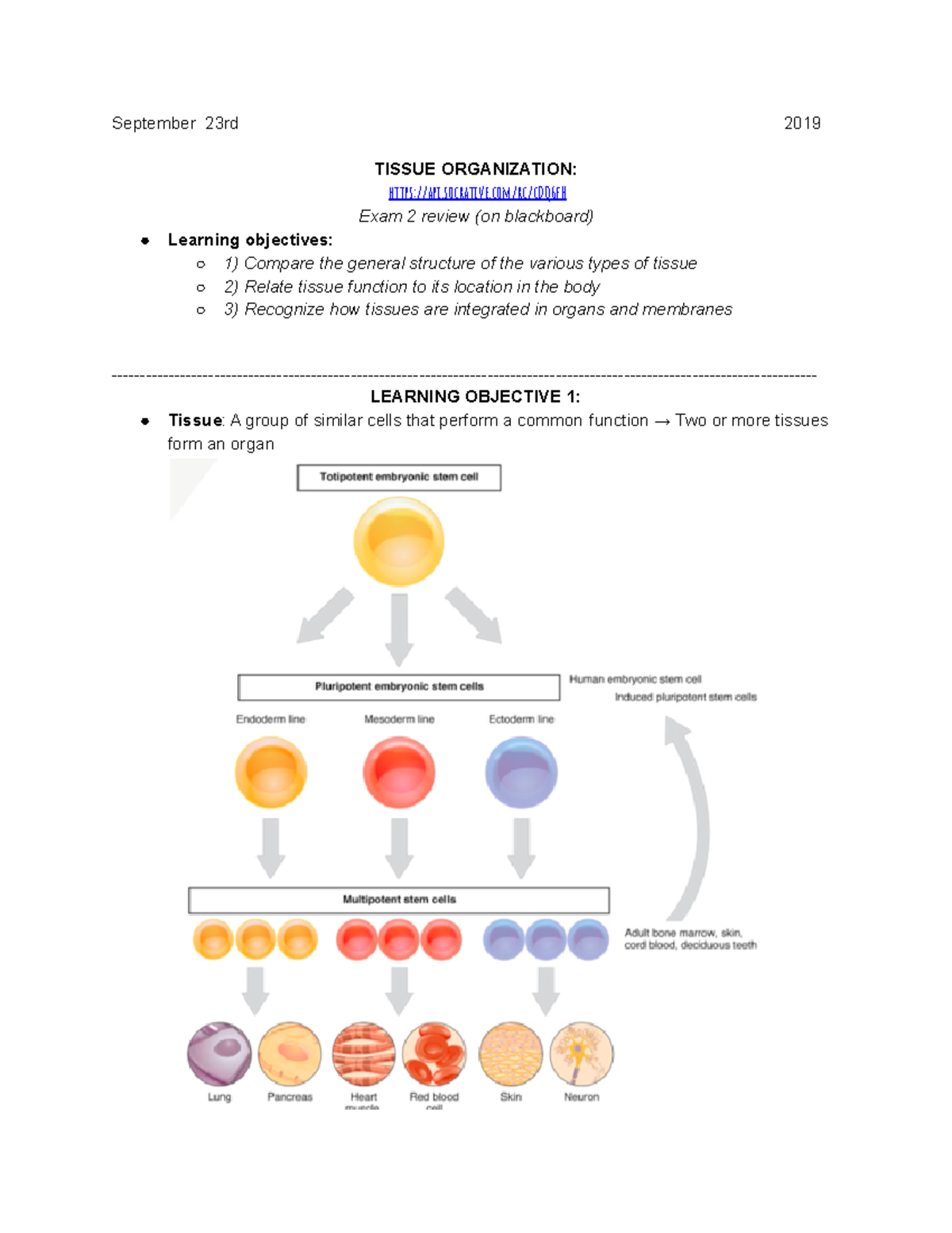 EXAM 2 - Comprehensive review of topics pertaining to Exam II. Contains ...