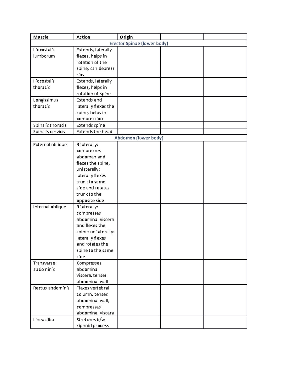 ACB 310 chart/lecture and lab notes - Muscle Action Origin Erector ...