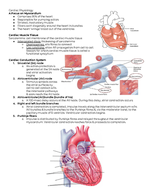 Paediatric Cardiac Arrhythmias Algorithm 2021 Frcem Resources ...