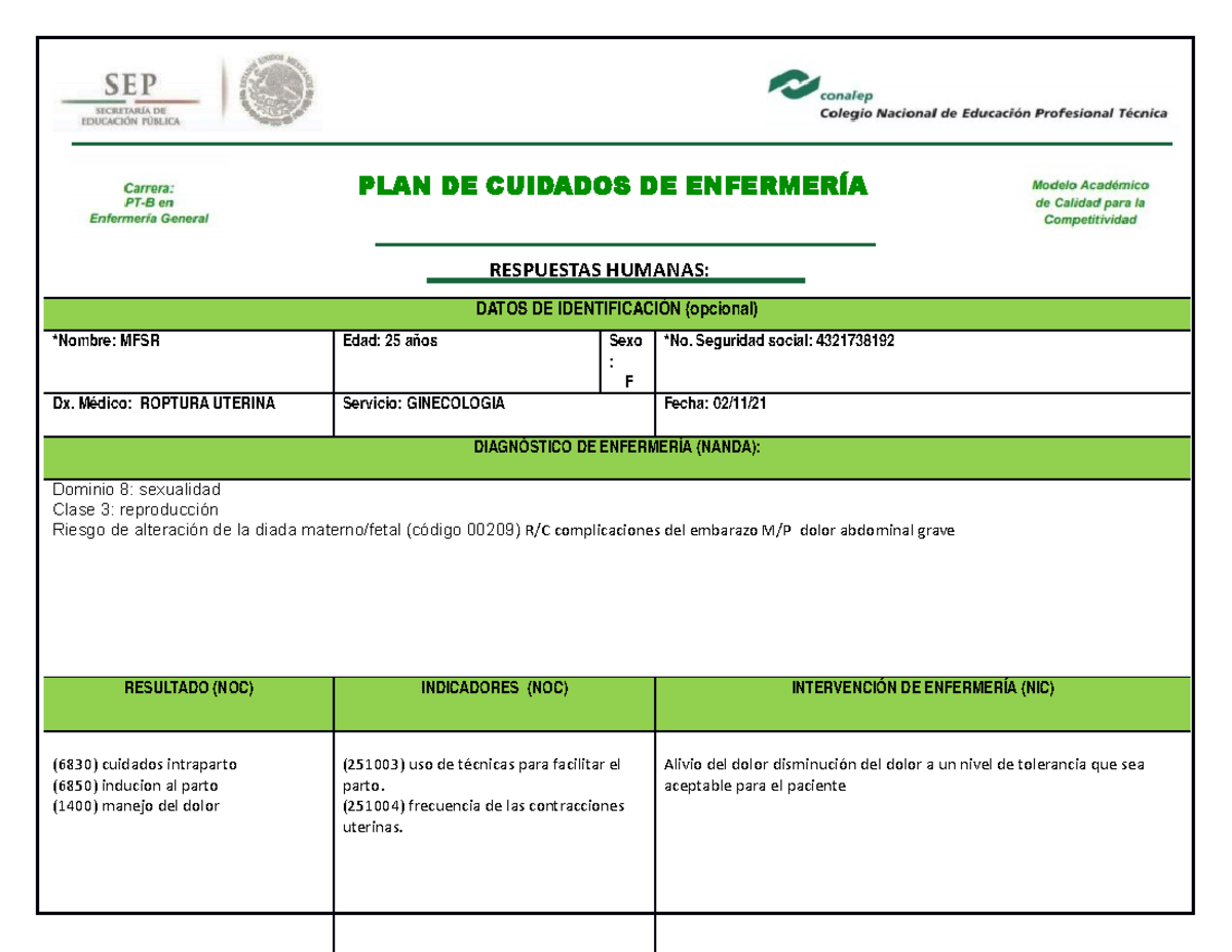 Plan De Cuidados De Enfermeria En Ruptura Uterina