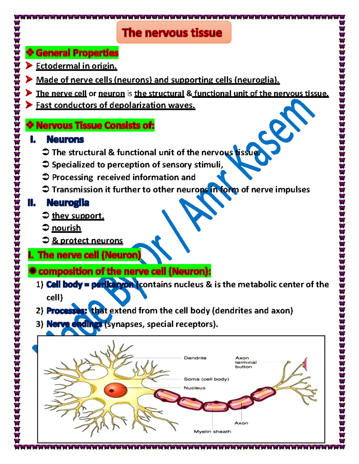 Hist 102 (Nervous tissue) - Ectodermal in origin. Made of nerve cells ...