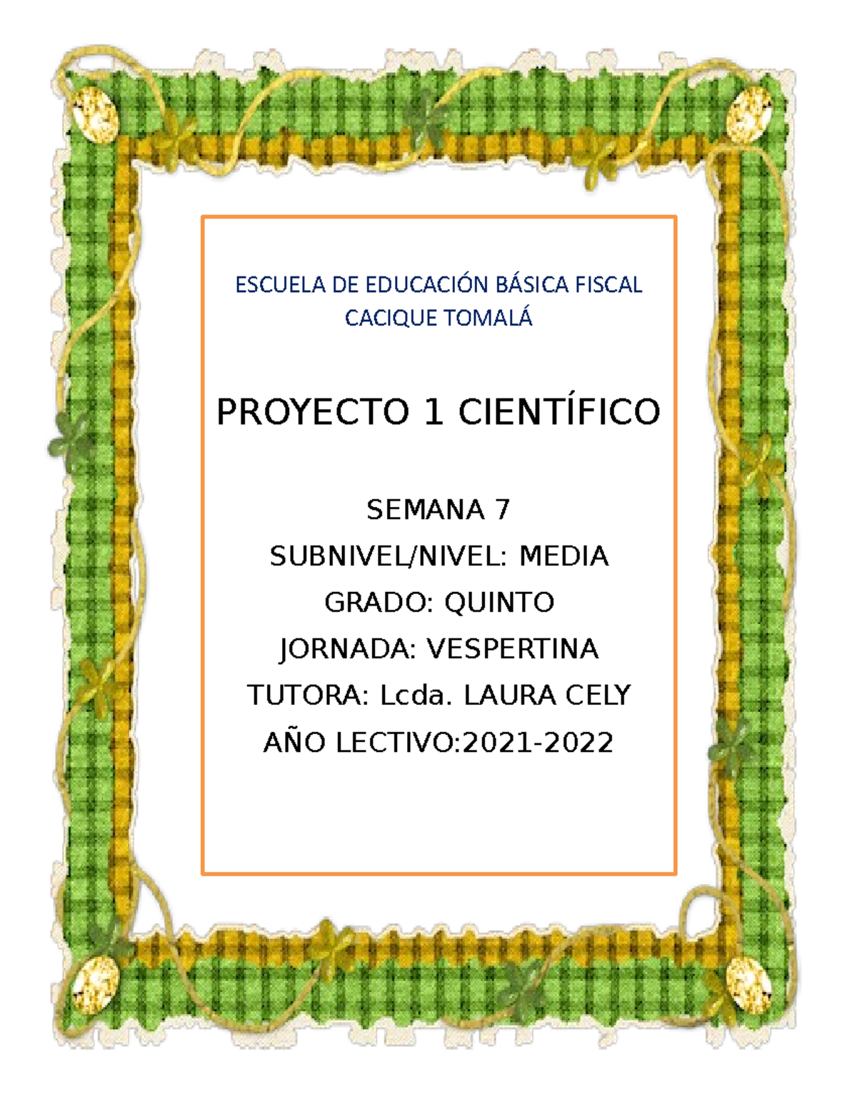 5to Grado Ciencias Sociales quinto de Basica planificacion