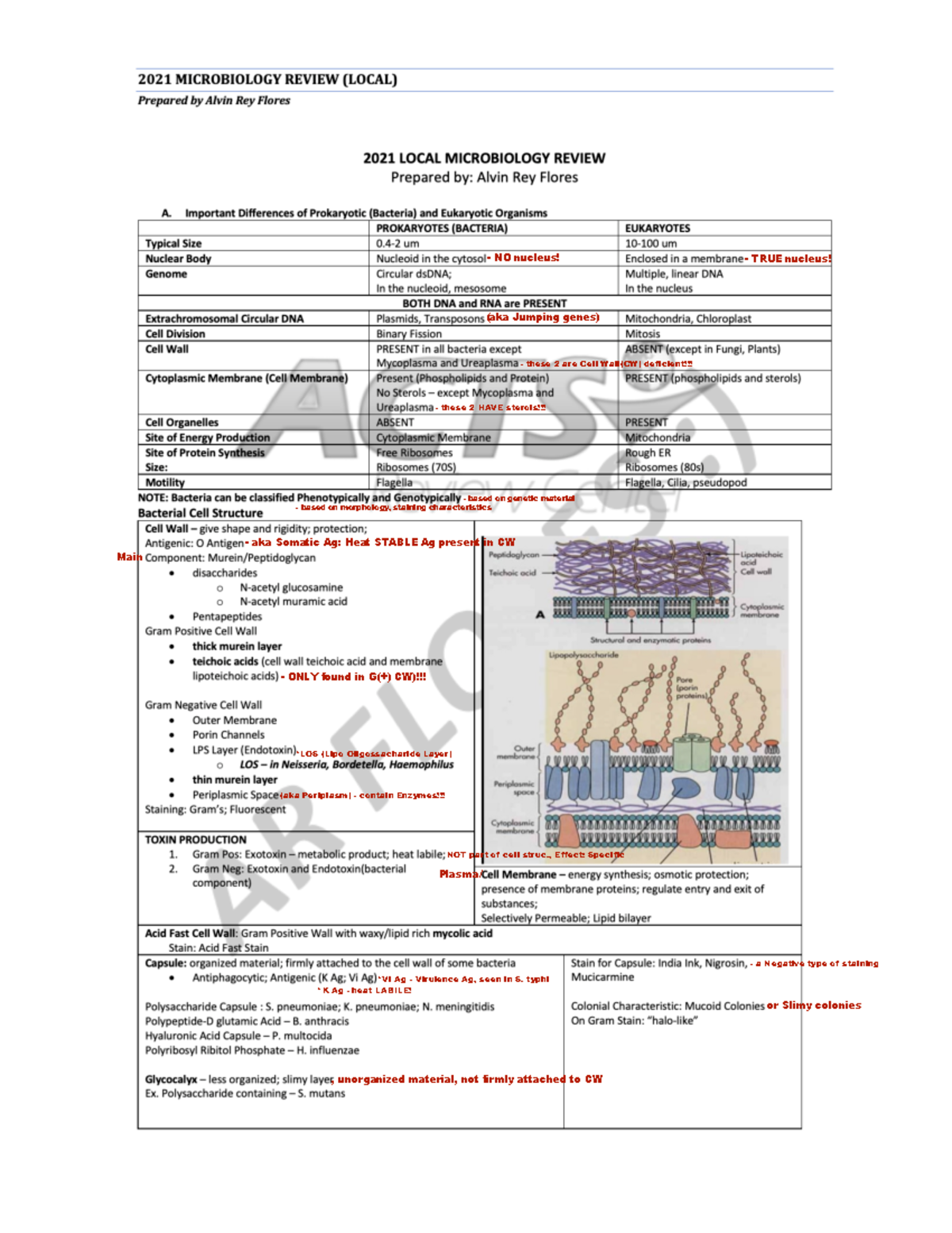microparareview notes - Medical Technology - Studocu