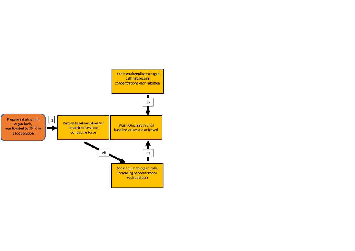 Workflow diagram - PHRM30009 - Prepare rat atrium in organ bath ...