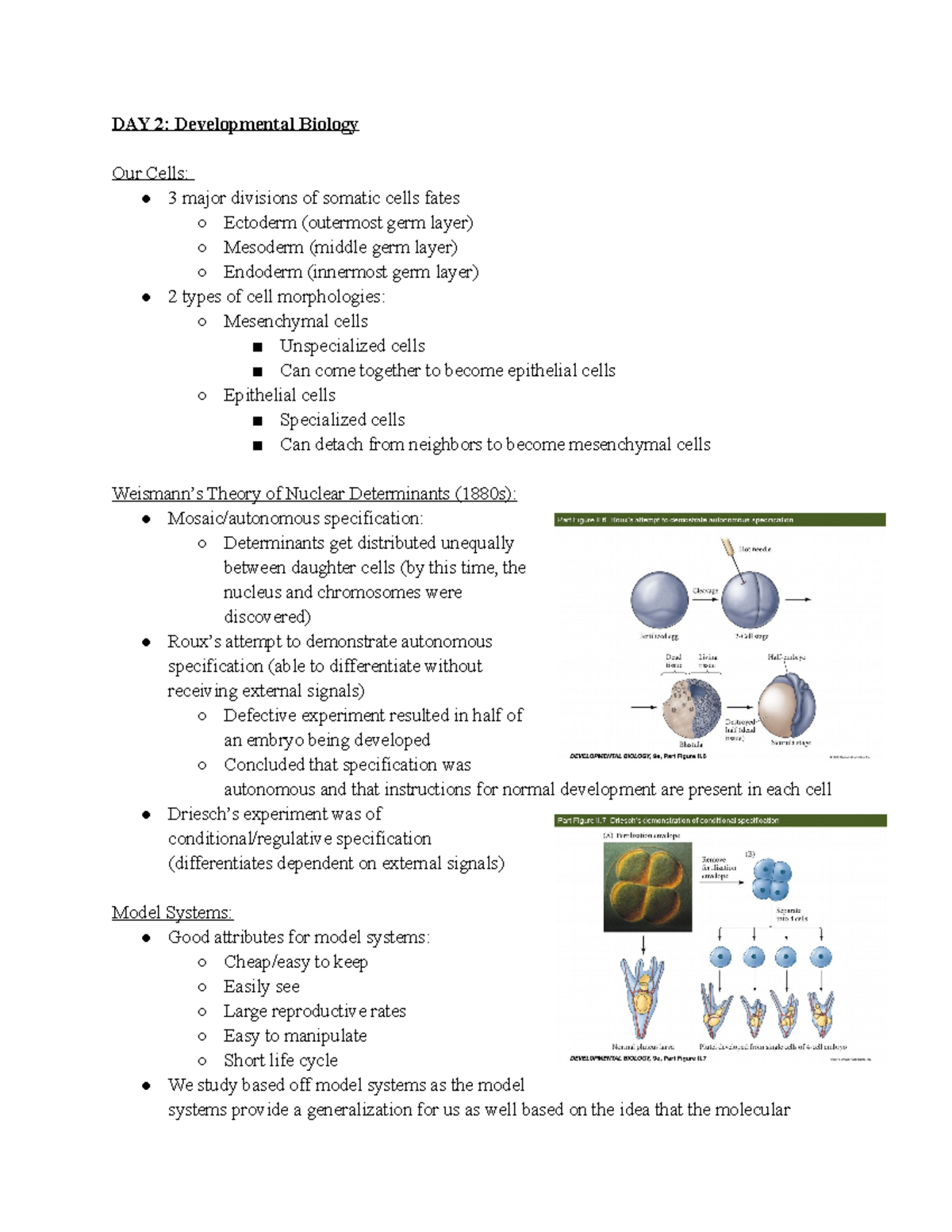 developmental biology assignment topics