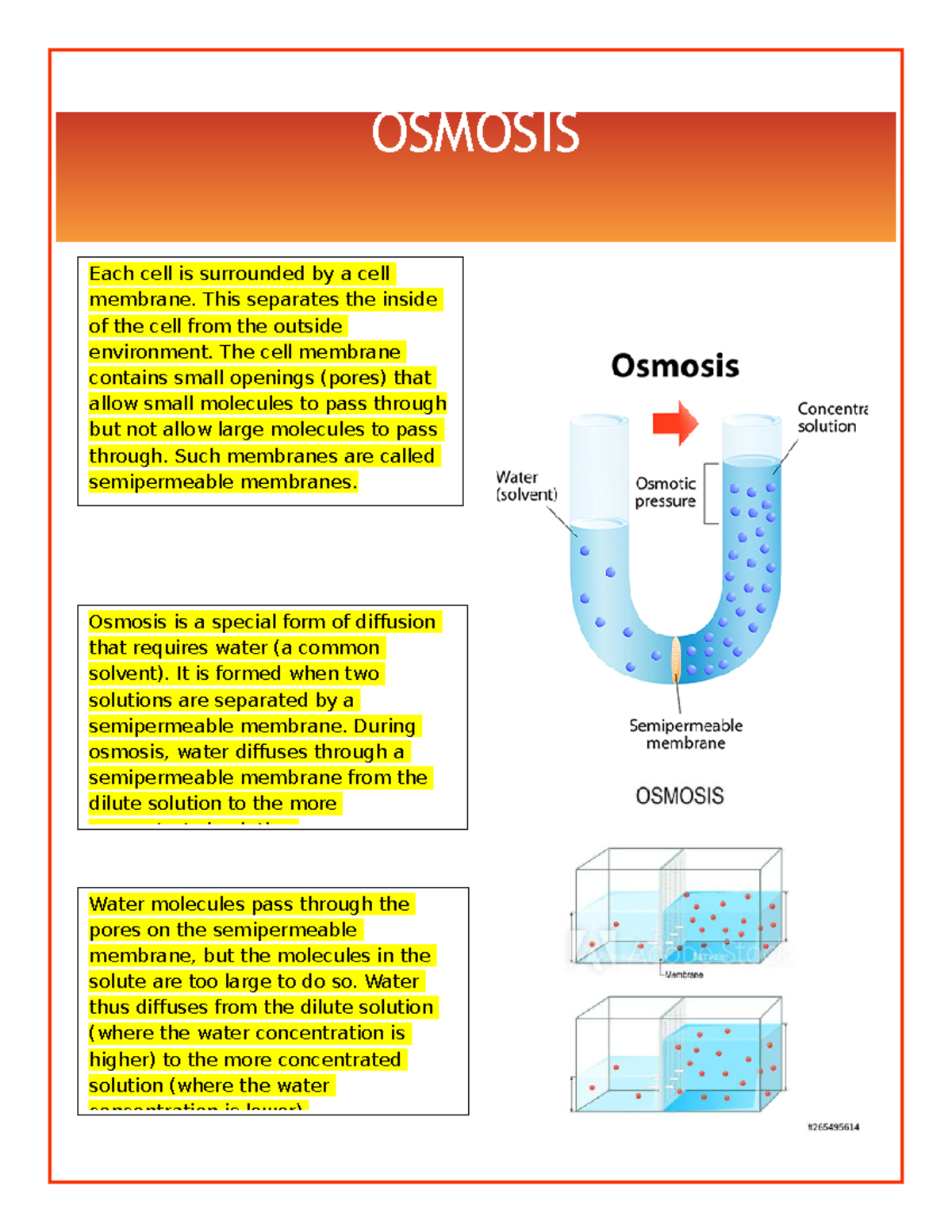 Osmosis Knauss class Each cell is surrounded by a cell membrane