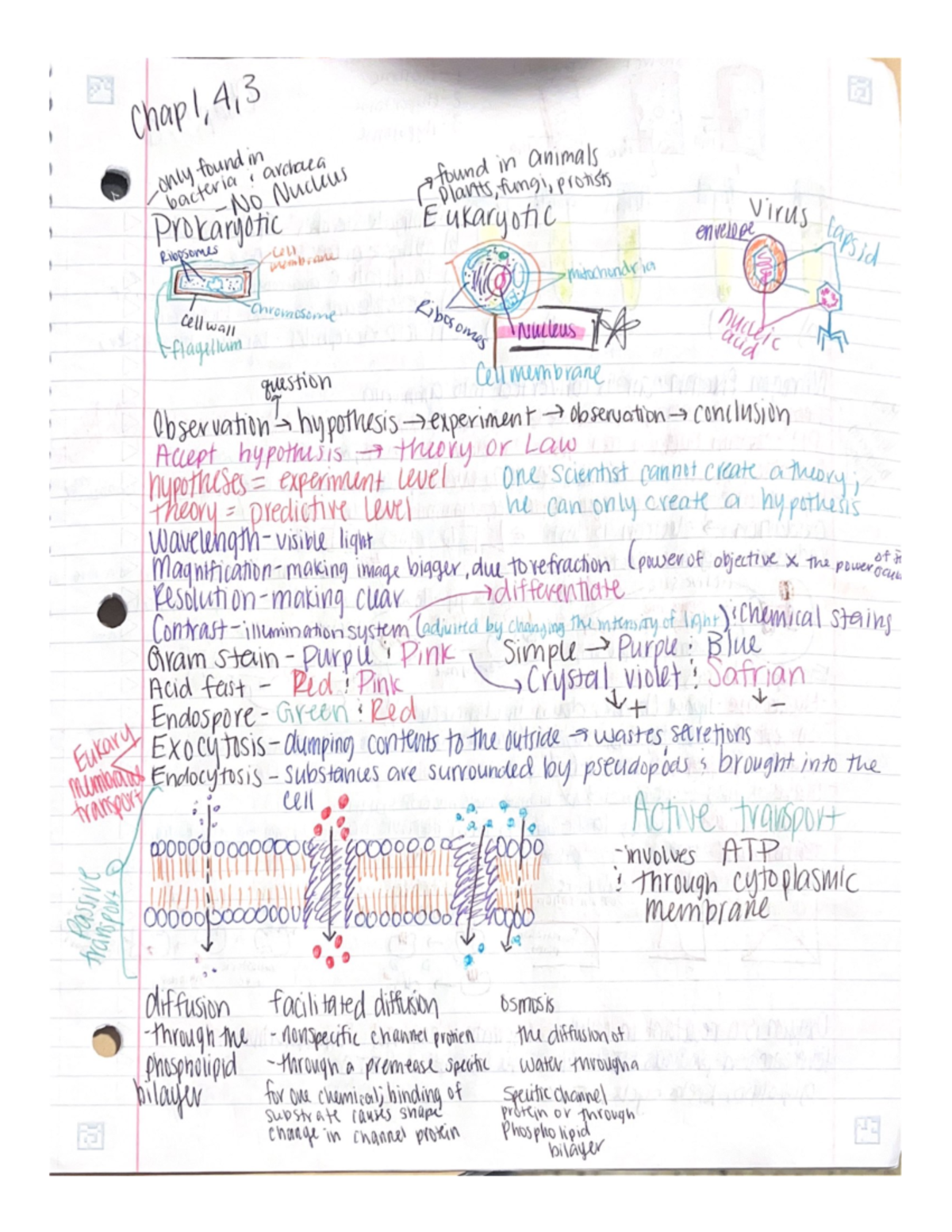Bio Notes - BIO 113 - Studocu