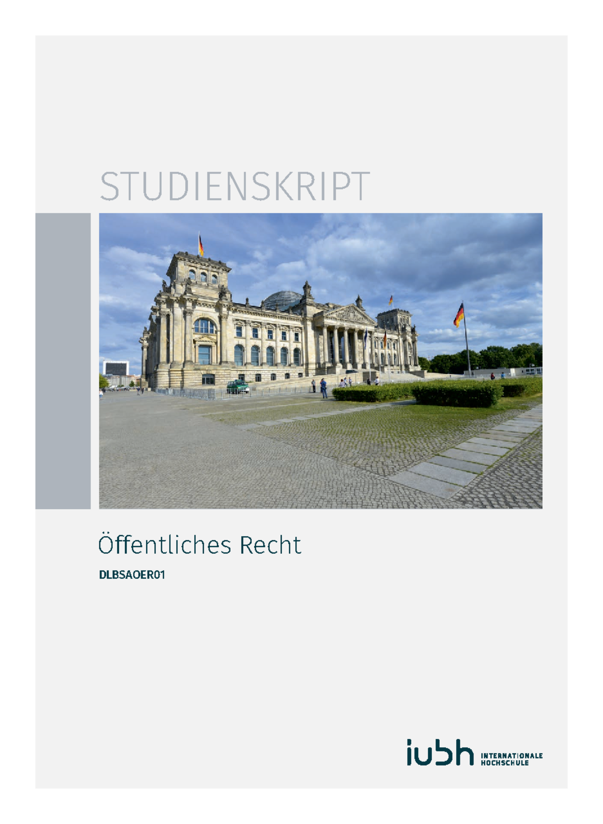 20210924 Dlbsaoer 01 Skript - STUDIENSKRIPT Öffentliches Recht DLBSAOER ...