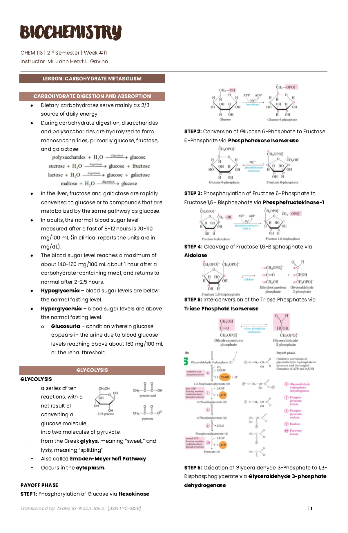 CHEM 113 - WEEK 11 - Carbohydrate Metabolism - Legal - BIOCHEMISTRY ...