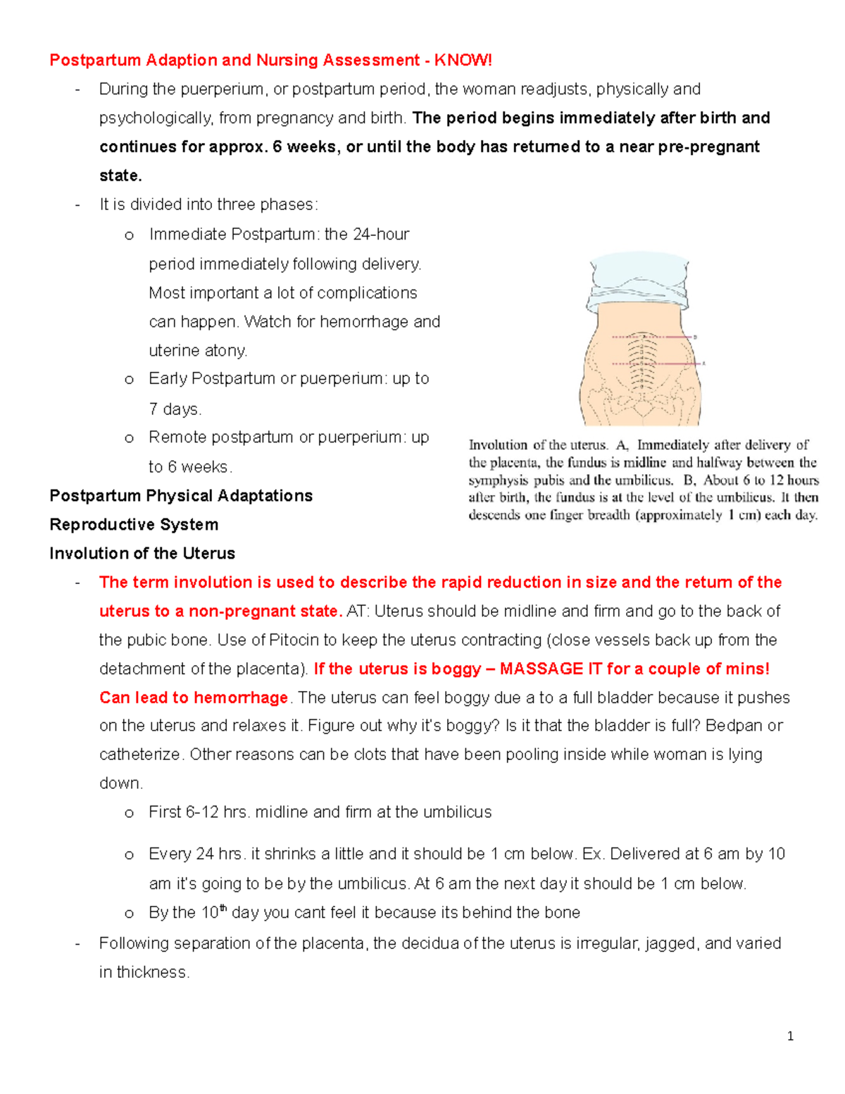 Engorgement in the early postpartum period occurs when increasing  circulation, growing milk supply, and retained tissue …