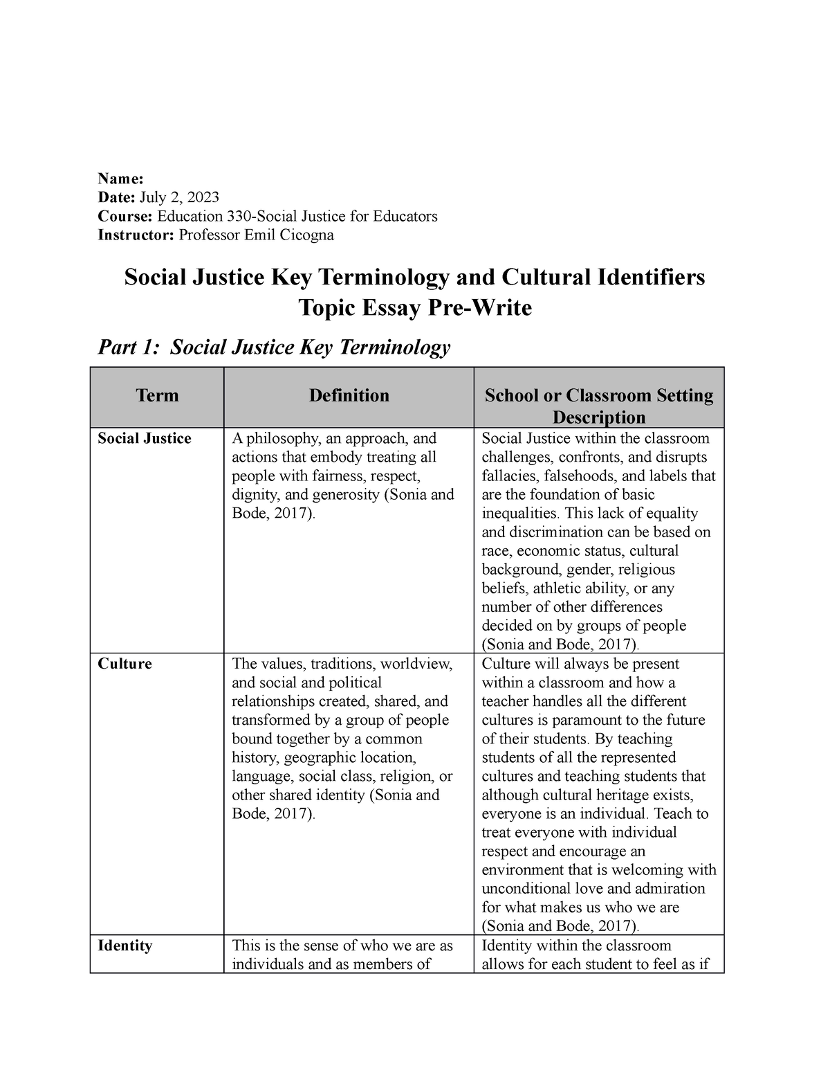 social injustice and cultural identifiers research essay