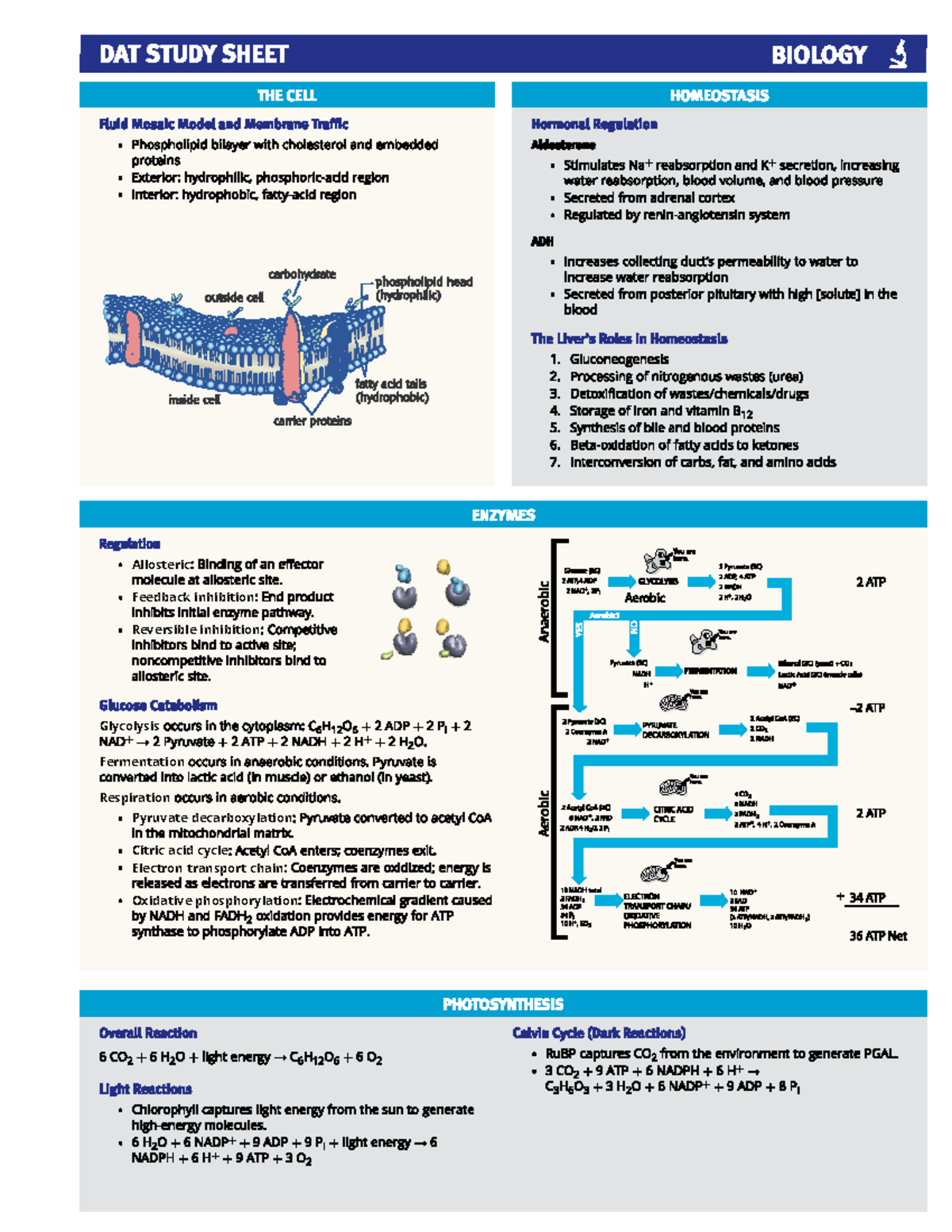 Kaplan Study Sheet - Allosteric Feedback inhibition Reversible ...