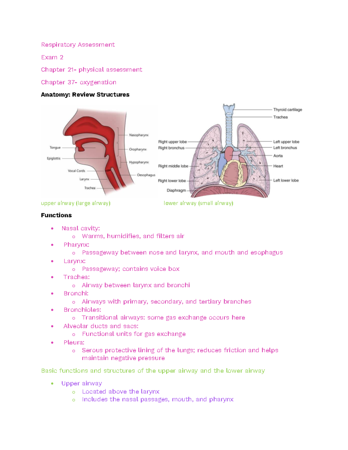 Nurs. 101 Respiratory Assessment- Exam 2 - Respiratory Assessment Exam ...