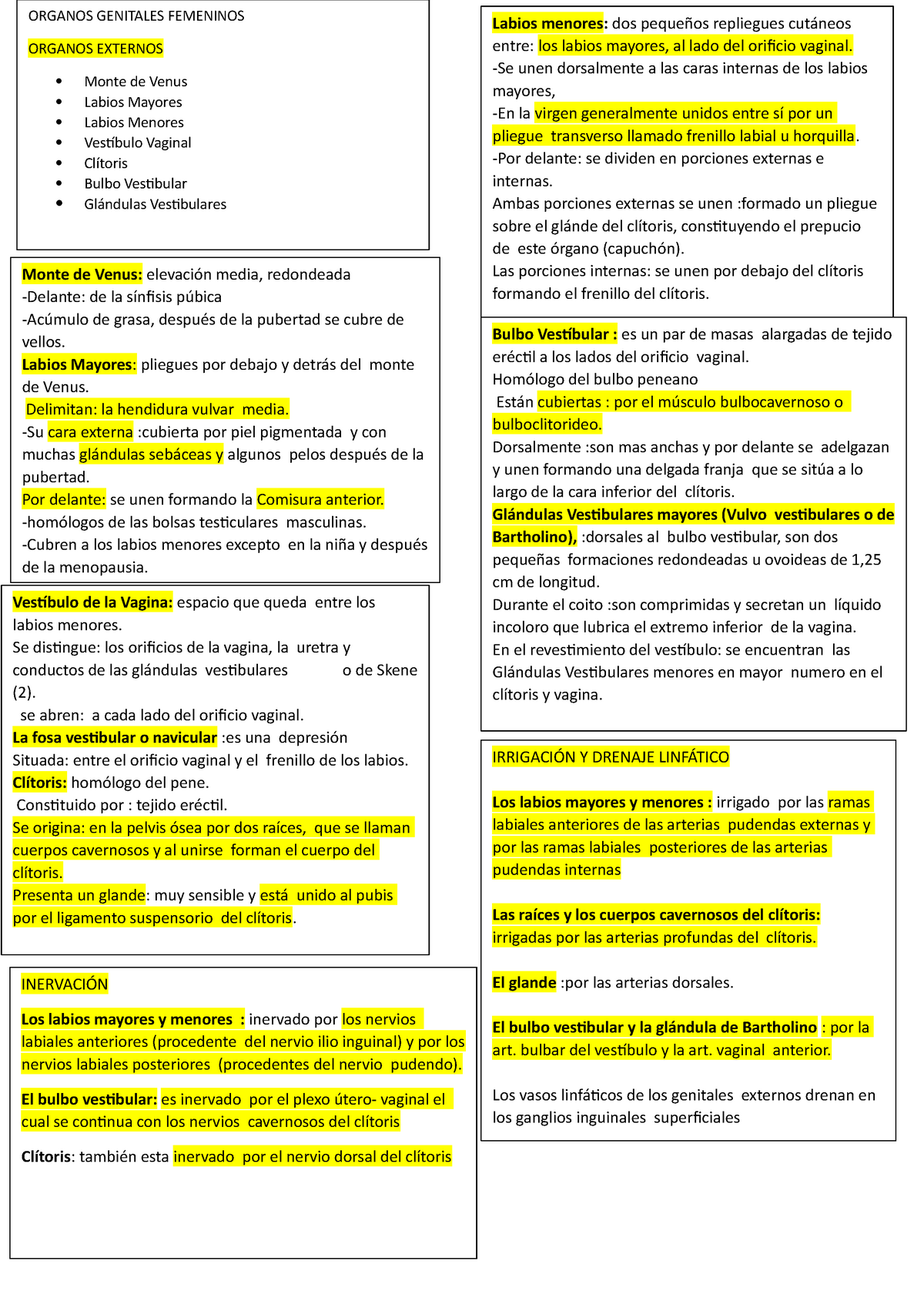 Anatomia humana - Labios menores: dos pequeños repliegues cutáneos entre:  los labios mayores, al - Studocu