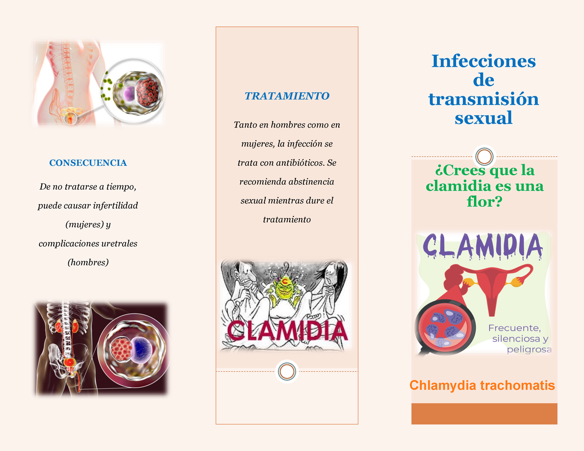 Clamidia Infecciones De Transmisión Sexual Tratamiento Tanto En Hombres Como En Mujeres La 0156