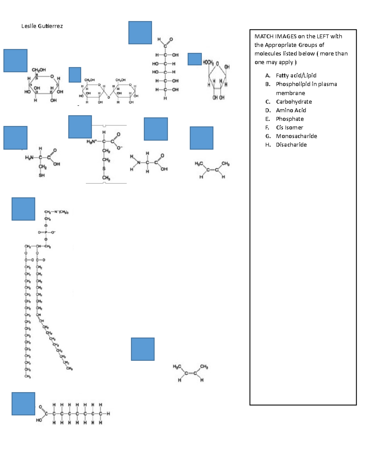 HW-Ch 5-Identify Macromolecules - Leslie Gutierrez MATCH IMAGES on the ...