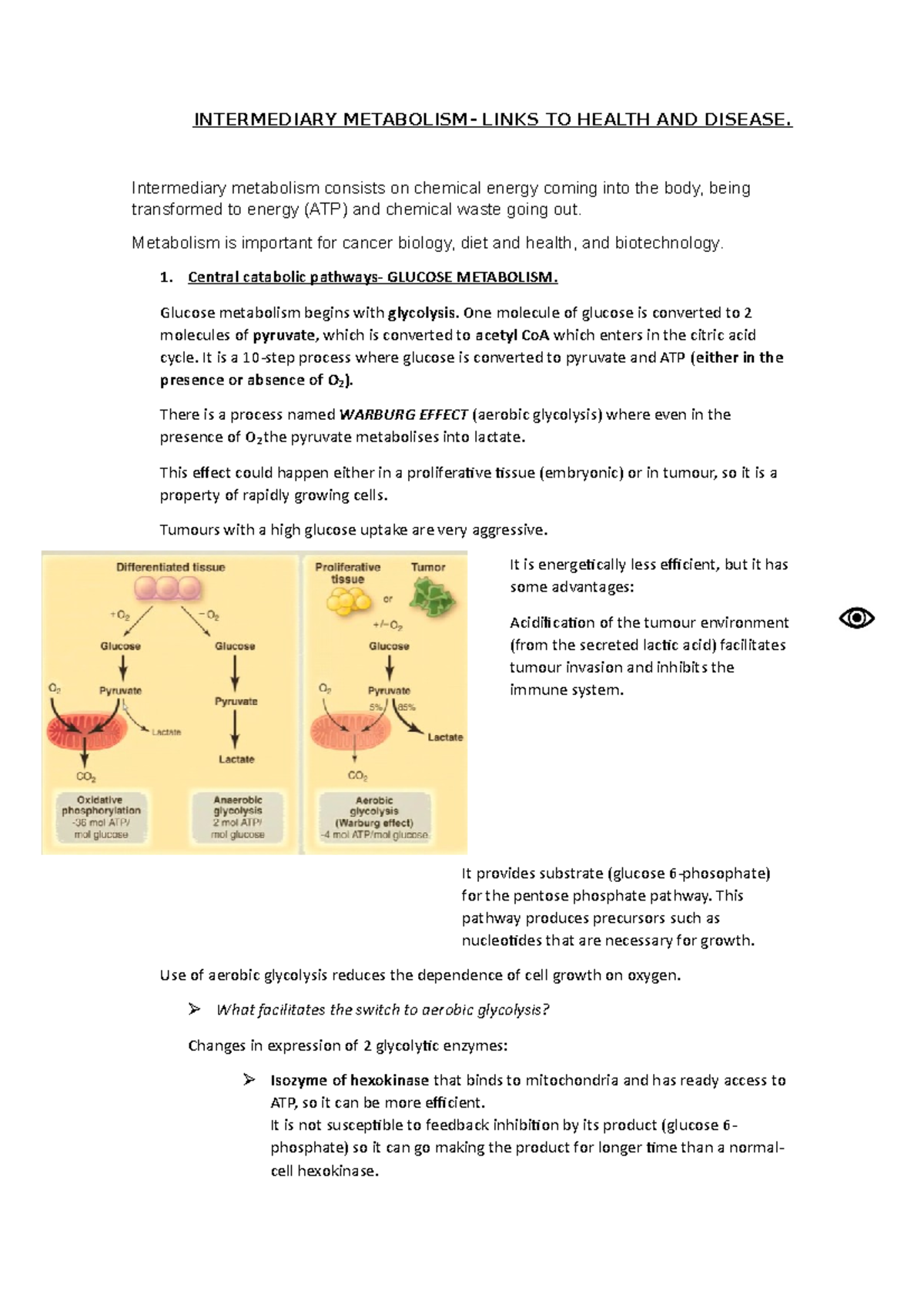 2. Intermediary Metabolism-links To Health And Disease - INTERMEDIARY ...