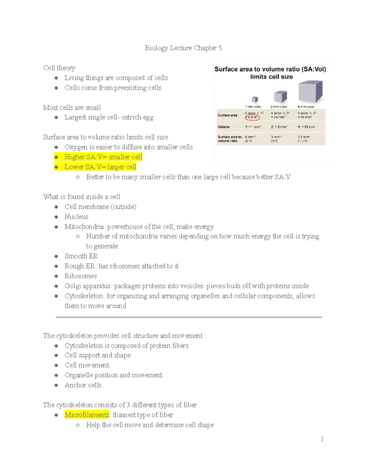 Biology Lecture Chapter 5 - Studocu