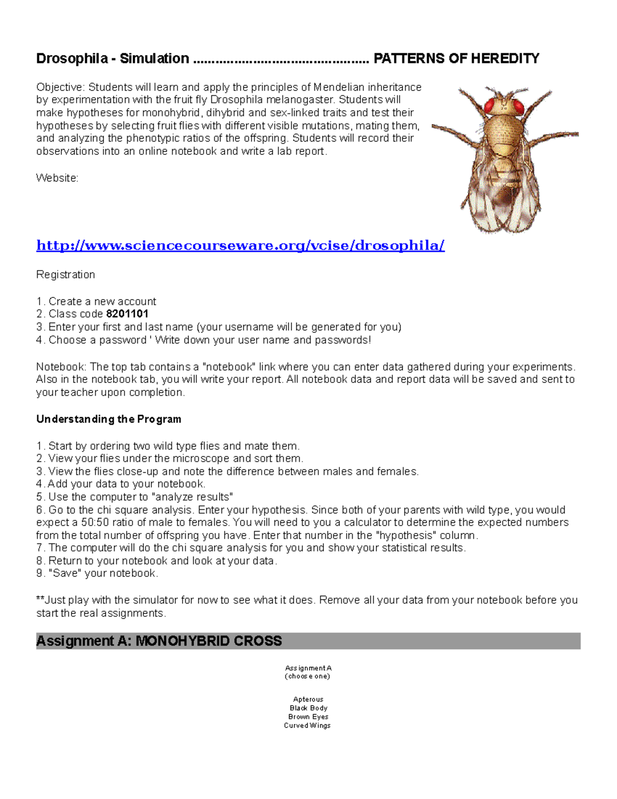 PerryDrosophila Online Drosophila Simulation