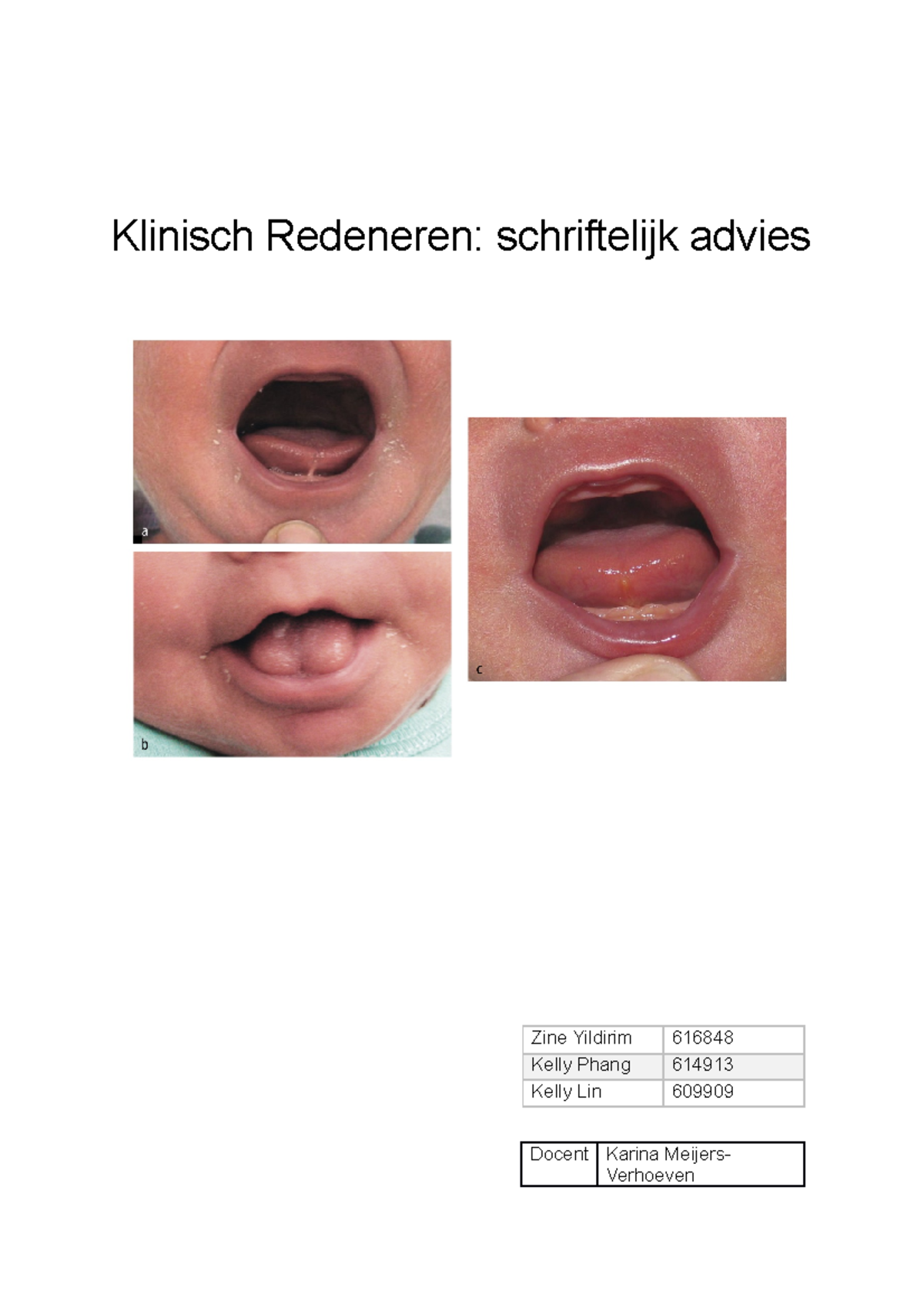 Klinisch Redeneren Maaike - Klinisch Redeneren: Schriftelijk Advies ...