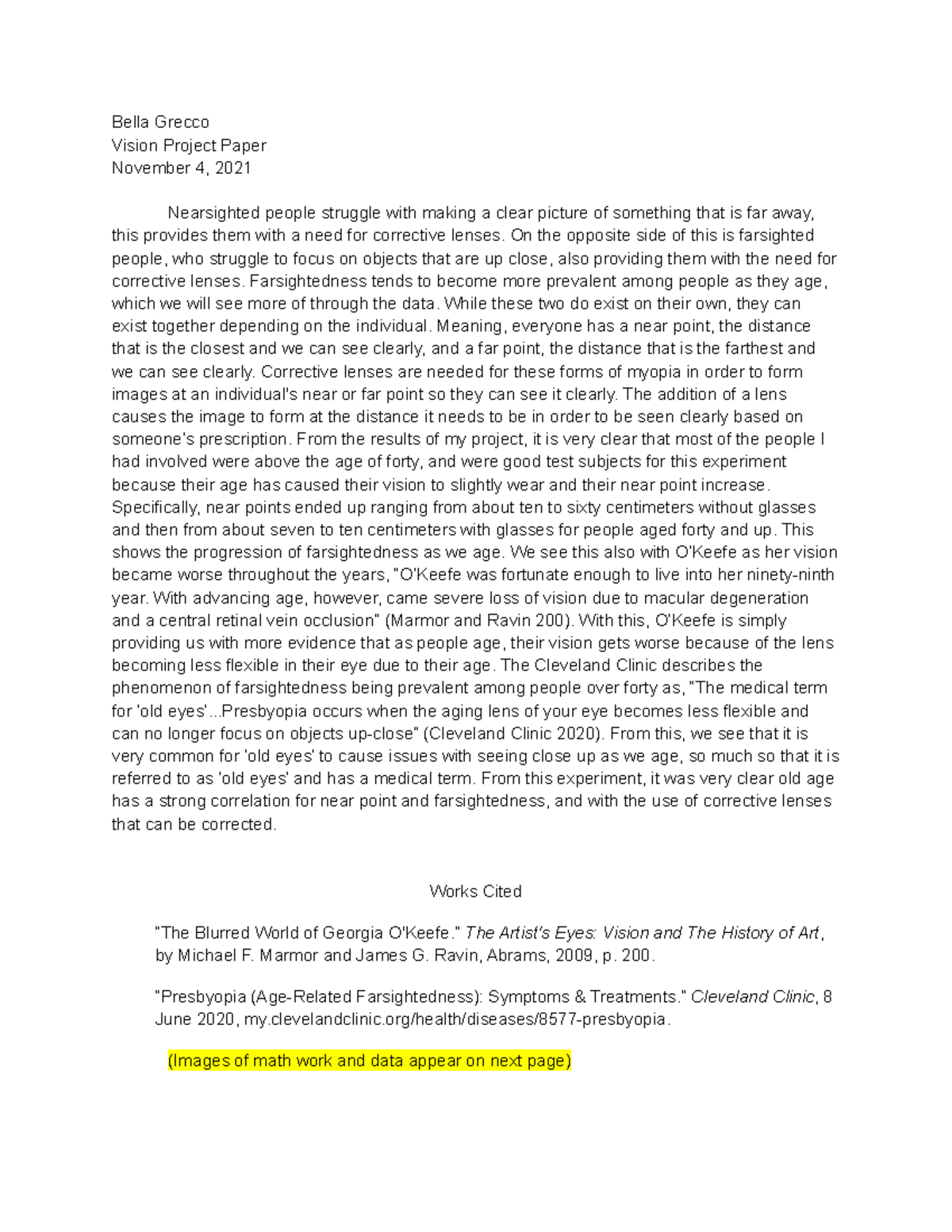 Vision Project Paper - Bella Grecco Vision Project Paper November 4 ...