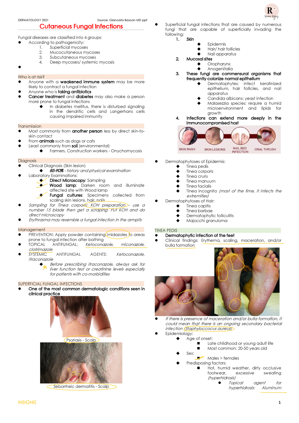 Derma Cutaneous Fungal Infections - Cutaneous Fungal Infections Fungal ...