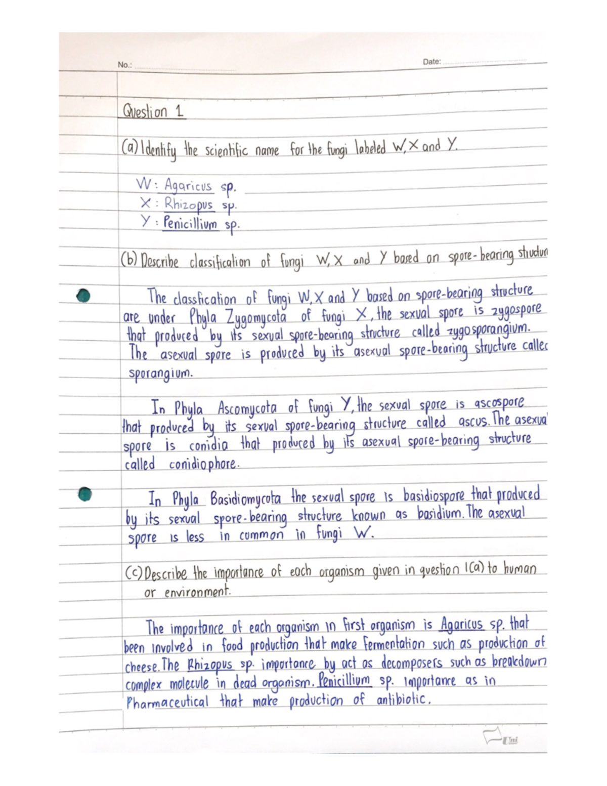 Draft Bio Asignment - Assignment - Biology - Studocu