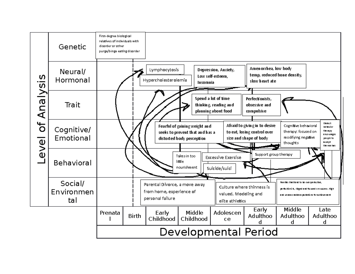 Levels of Analysis - notes - Level of Analysis Genetic Neural/ Hormonal ...