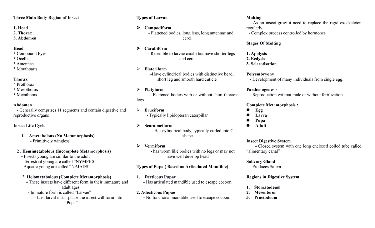 Salero-Reviewer - For more knowledge - Three Main Body Region of Insect ...