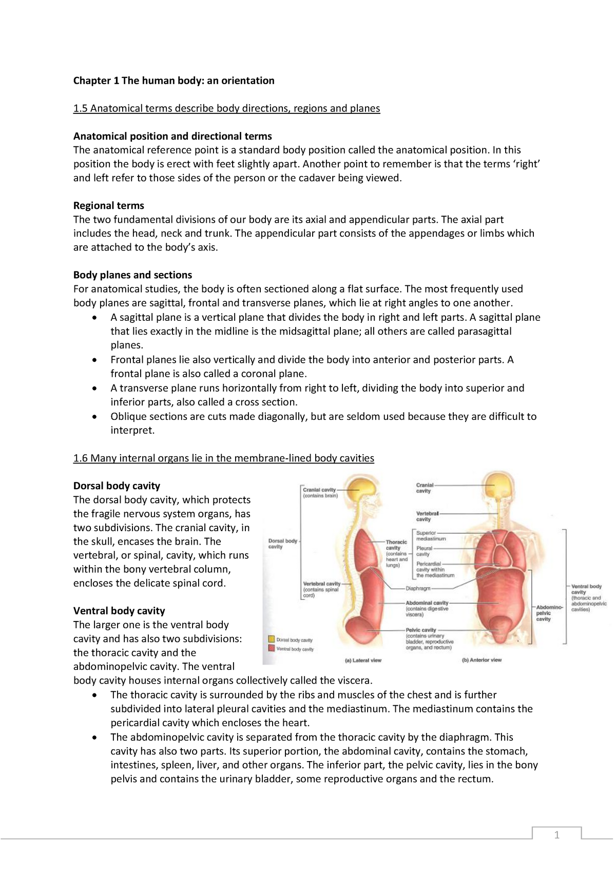 Summary Anatomy And Physiology Part 1 Chapter 1 The Human Body An