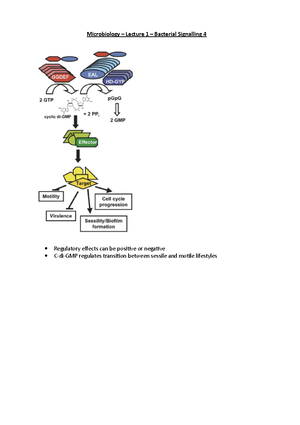 Microbiology – Lecture 2 – Bacterial Communication - 2 - Microbiology ...