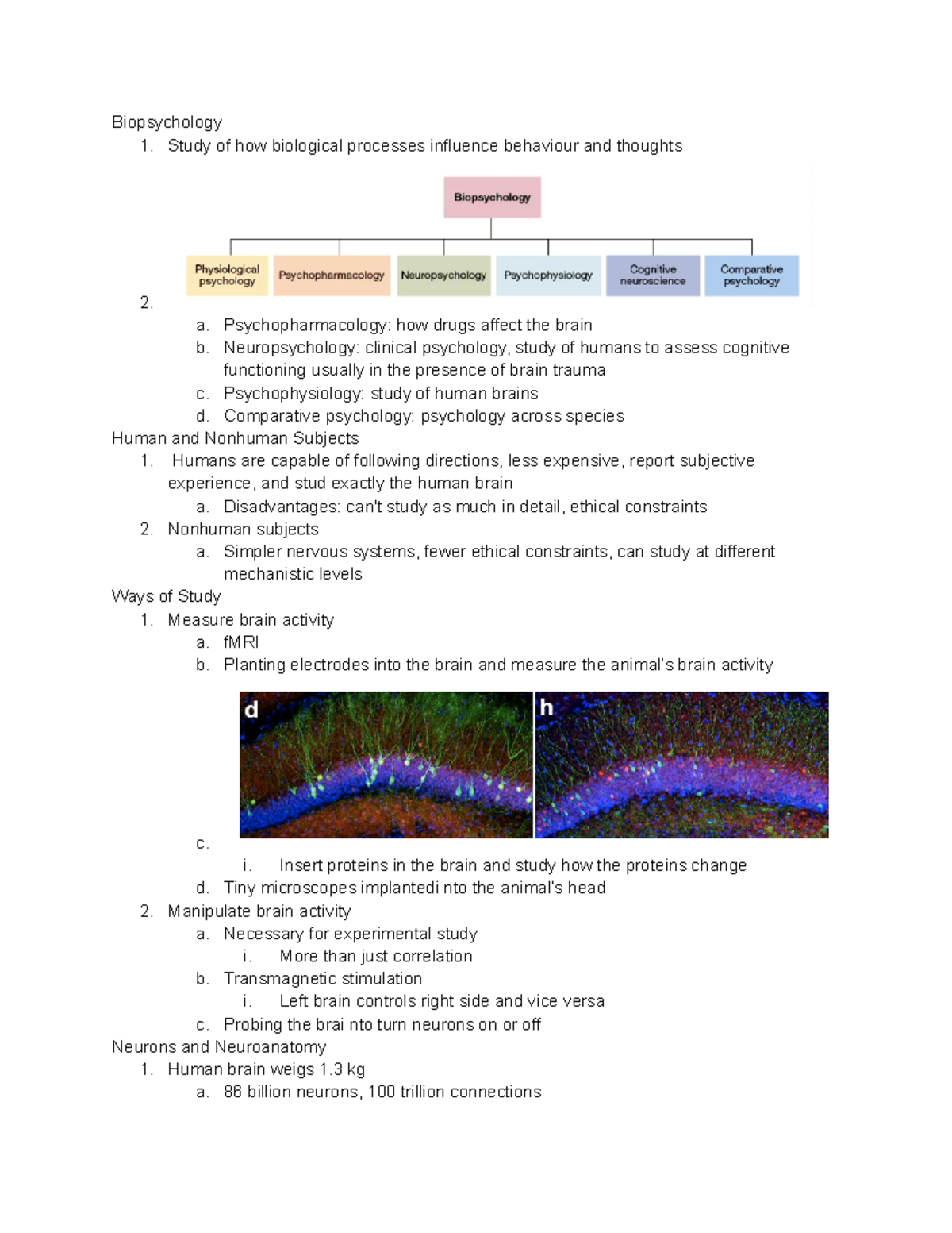 L1 - Lecture notes 1 - Biopsychology 1. Study of how biological ...