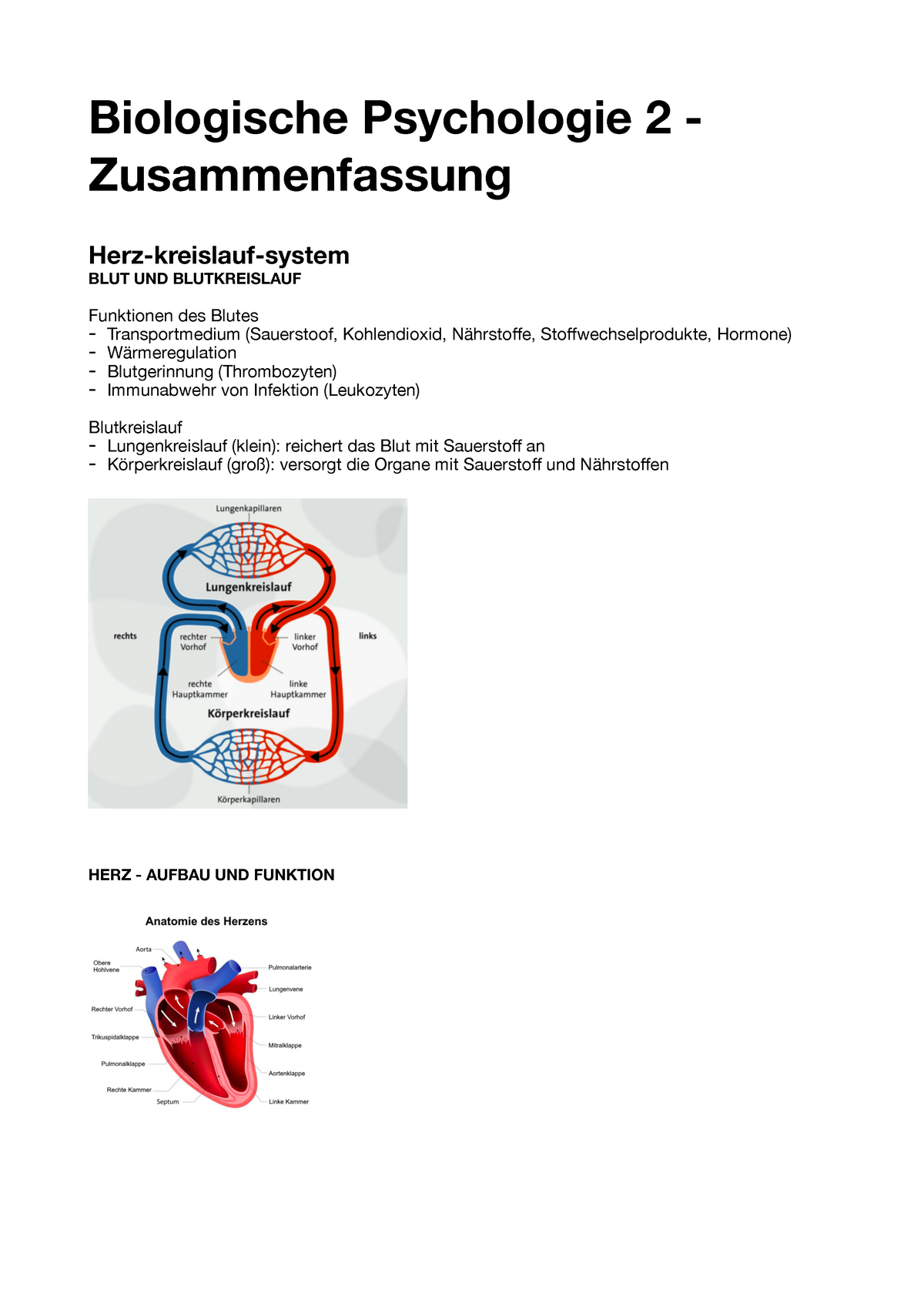 Biologische Psychologie 2 - Zusammenfassung - Biologische Psychologie 2 ...