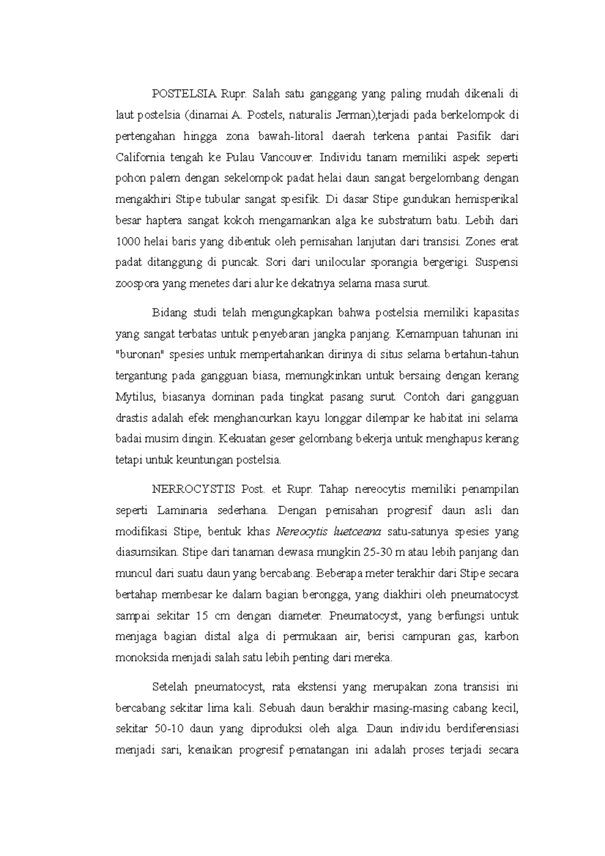 Materi Postelsia - POSTELSIA Rupr. Salah satu ganggang yang paling ...
