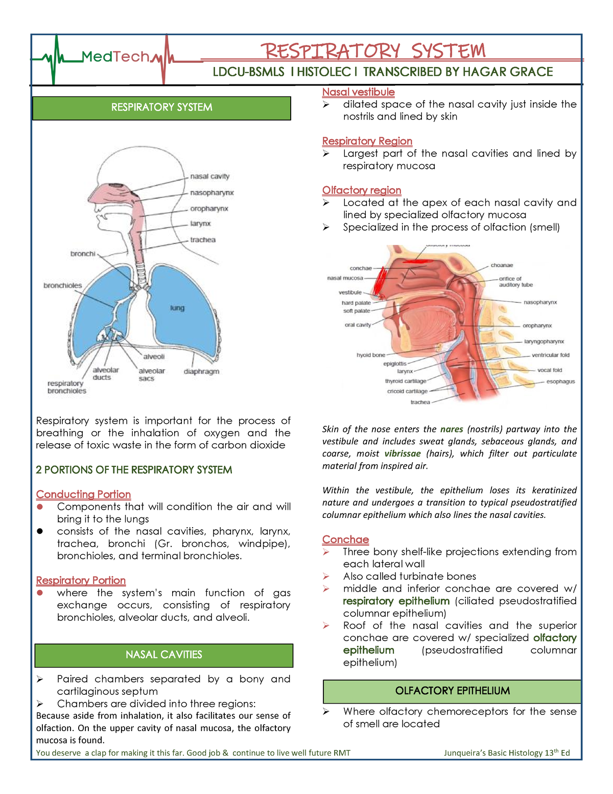 Histo Lec Finals Transes - RESPIRATORY SYSTEM LDCU-BSMLS l HISTOLEC l ...