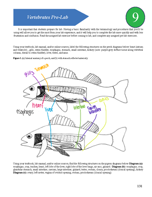 Extrasolar Planets - Notes - Name: ExtraSolar Planets – Student Guide ...