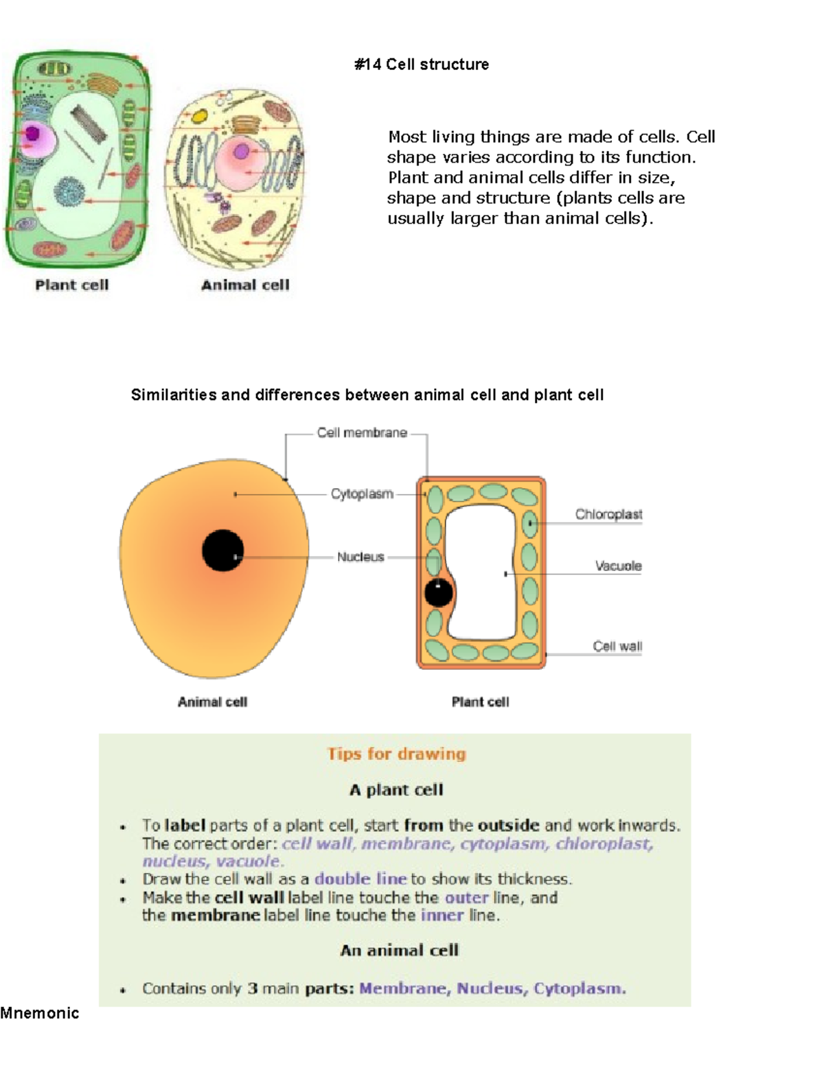 Unit 2 - Cells - Biology Notes - Deprecated API usage: The SVG back-end ...