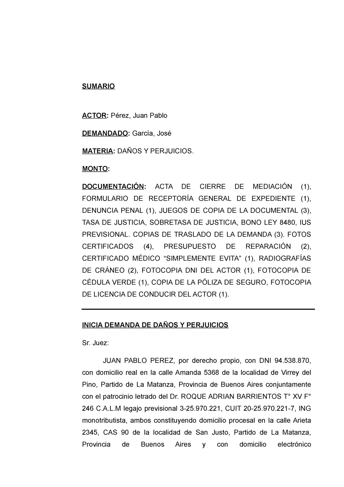 Modelo Demanda Daños Y Perjuicios Sumario Actor Pérez Juan Pablo Demandado García José 3804