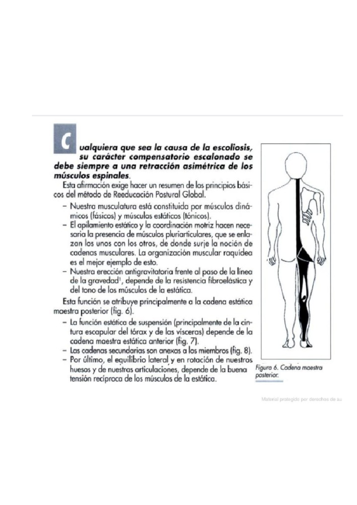 Escoliosis Caracter Compensatorio - Fisioterapia - Studocu