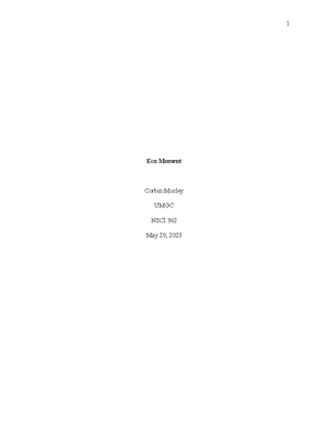 IFSM201 Professional Memo Template - MEMORANDUM TO: CHIEF EXECUTIVE ...