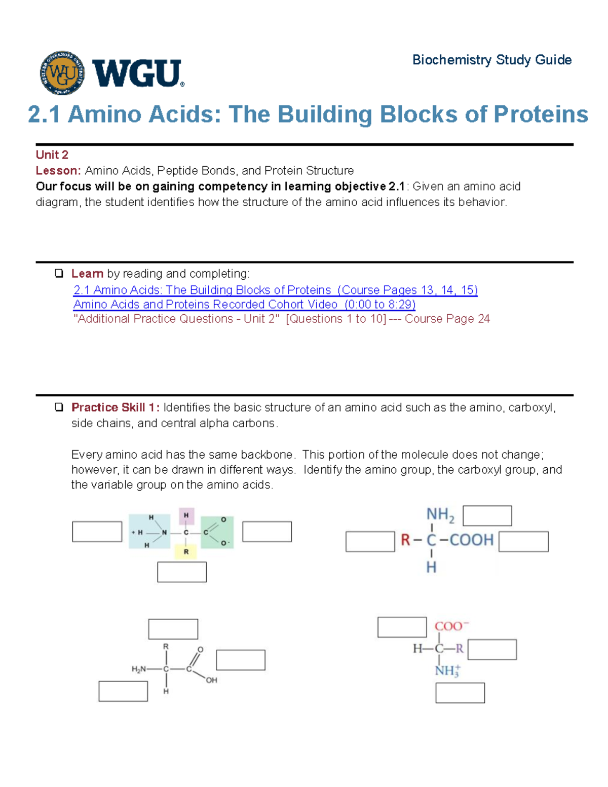 21 Amino Acids The Building Blocks of Proteins Learn by reading and