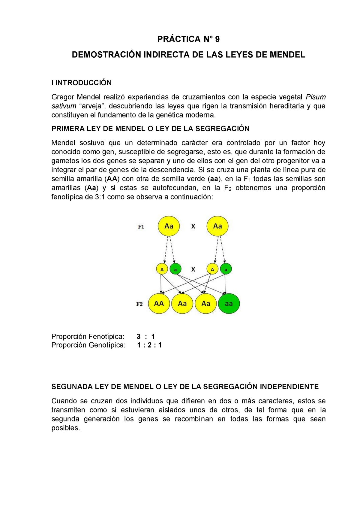 Primera Y Segunda Ley De Gregorio Mendel Ley Compartir