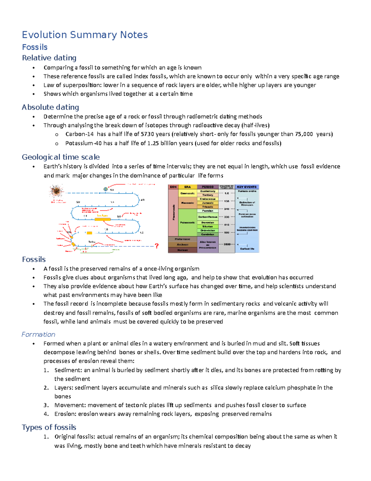 Evolution Summary Notes Evolution Summary Notes Fossils Relative dating Comparing a fossil to