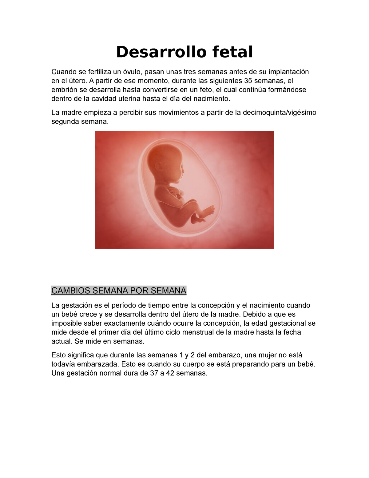 Ejecución letra no pueden ver Desarrollo fetal - Desarrollo fetal Cuando se fertiliza un óvulo, pasan  unas tres semanas antes de - Studocu