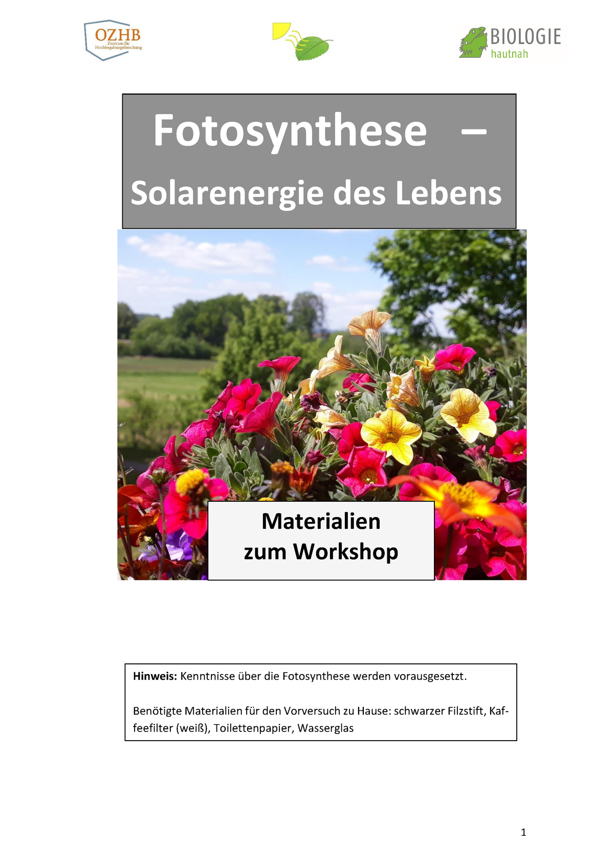 Arbeitsblatt-Fotosynthese - Hinweis: Kenntnisse über Die Fotosynthese ...