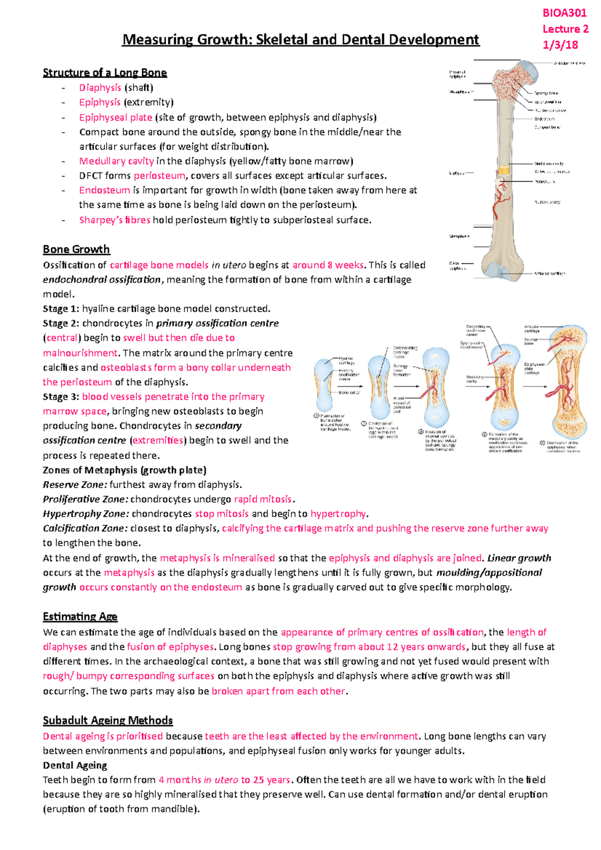 Lecture 2 - Skeletal And Dental Development - Measuring Growth ...