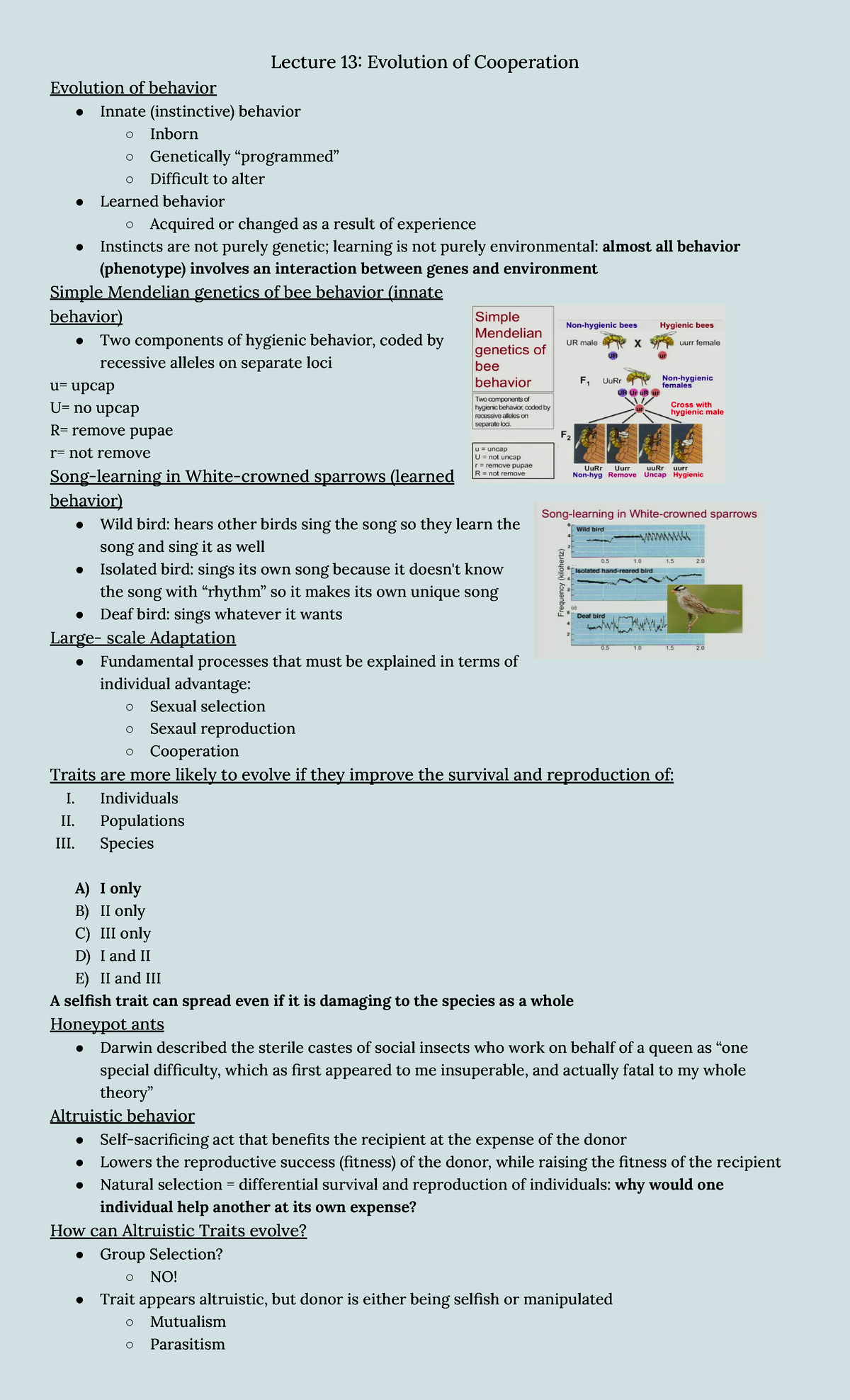 BIOL Lecture 13 - BIOL 1001 - The U Of M - Studocu