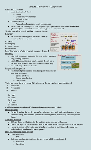 Lecture 22 Population Ecology Study Guide Biol 1001 The U Of M Studocu Lecture 22 Population Ecology Study Guide Biol 1001 The U Of M Studocu