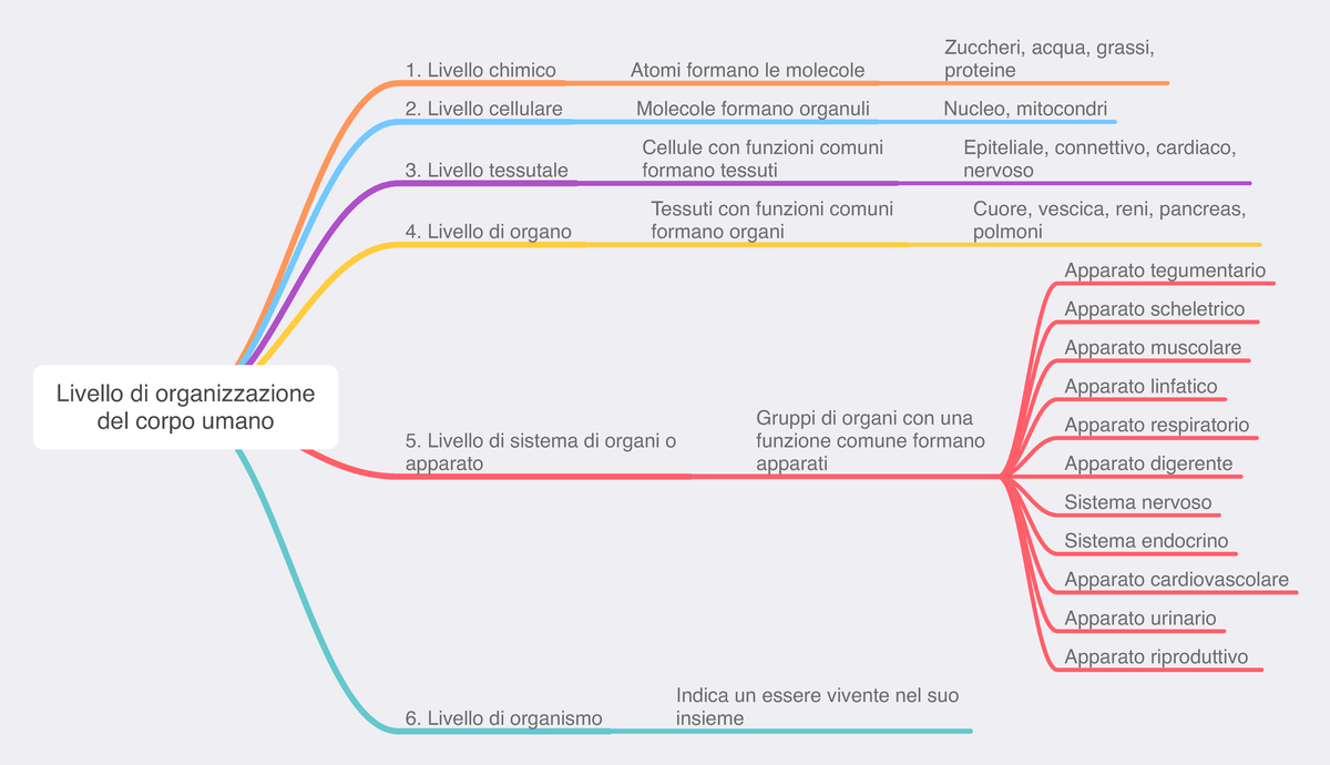 livelli di organizzazione del corpo umano - Anatomia Umana - Università