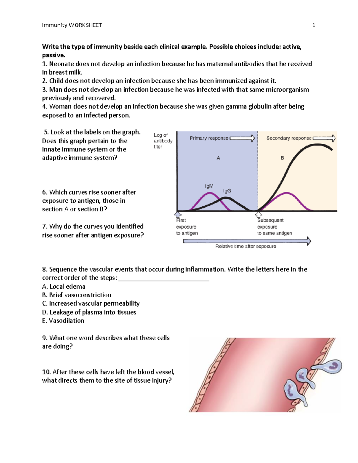 Immunity Worksheet - Immunity WORKSHEET Write the type of immunity ...